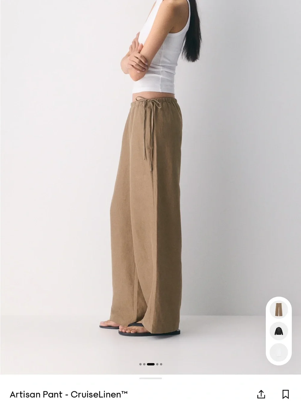 Aritzia Artisan CruiseLinen™ Pants in Taupe